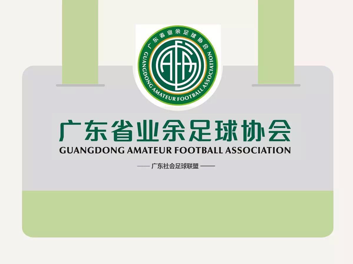 熱烈祝賀AVG傲勝股份榮膺廣東省業(yè)余足球協(xié)會會長單位并授牌