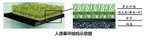 人造草坪結(jié)構(gòu)